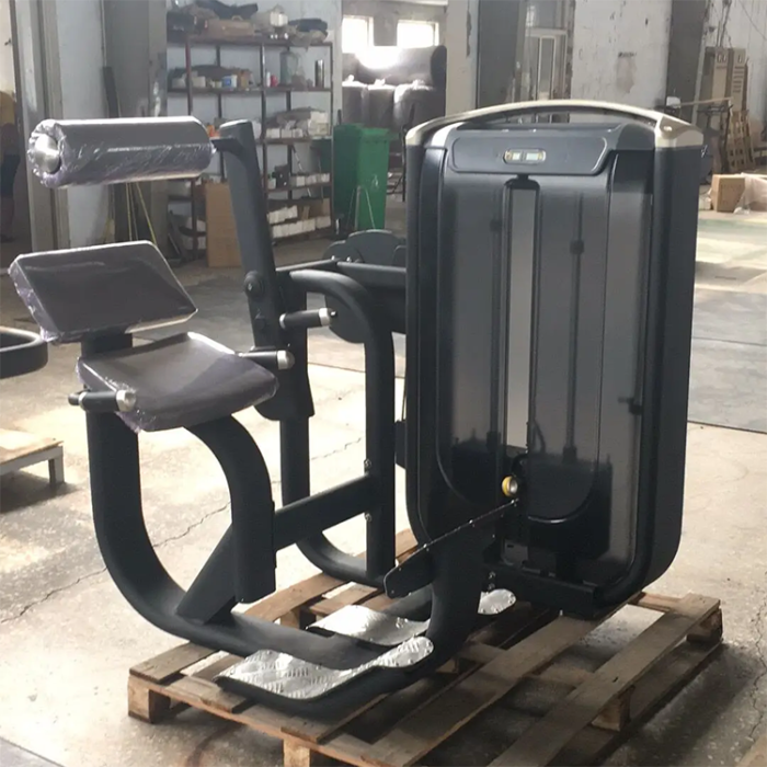 GM53 Pin Loaded Back Extension