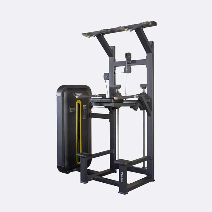 ZM025 Pin Loaded Dip/Chin Assist