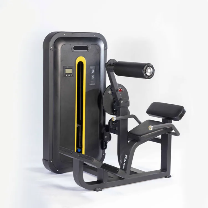 ZM031 Pin Loaded Abdominal Back Extension