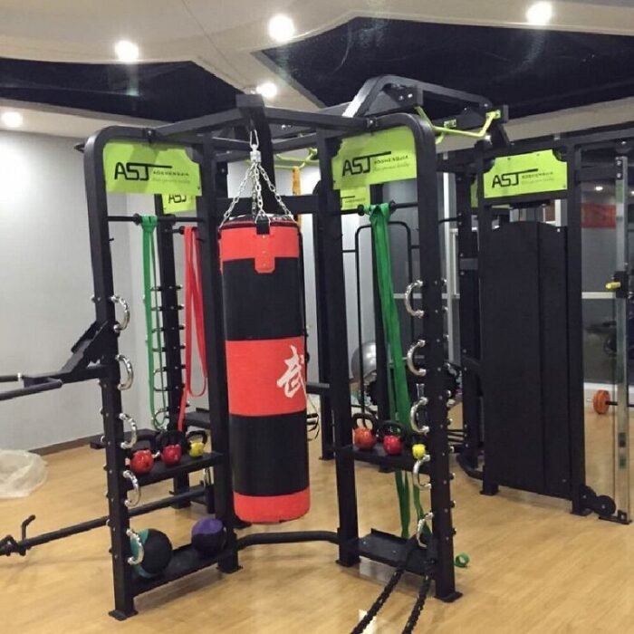ASJ360-E Synergy 360 Cross Fit Machine Integrated Training - Image 4