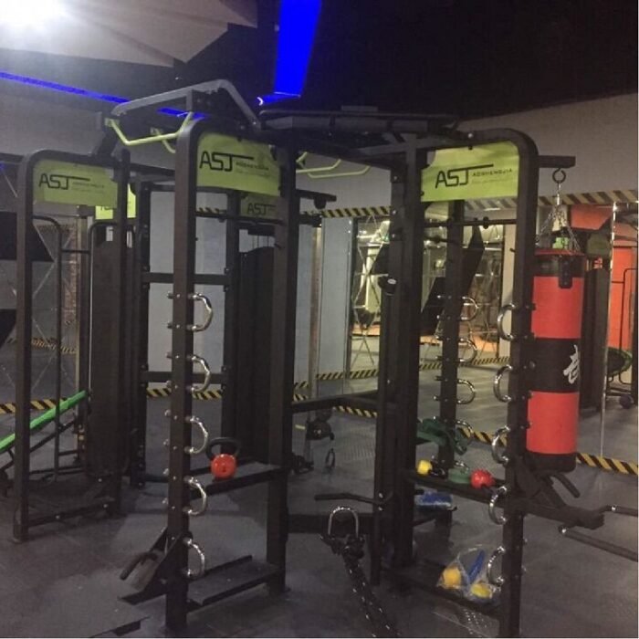 ASJ360-E Synergy 360 Cross Fit Machine Integrated Training - Image 2