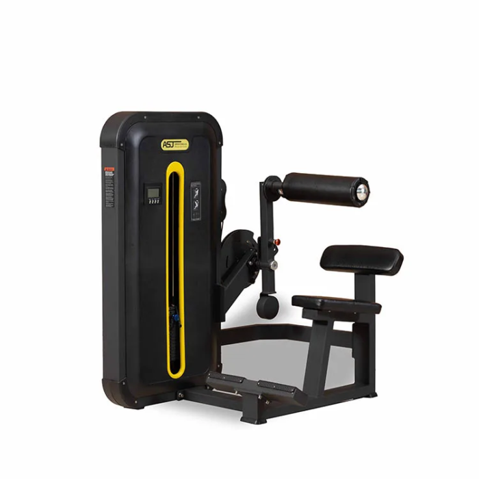 ZM023 Pin Loaded Back Extension