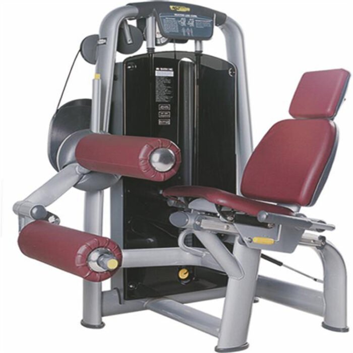 A015 Leg curl machine