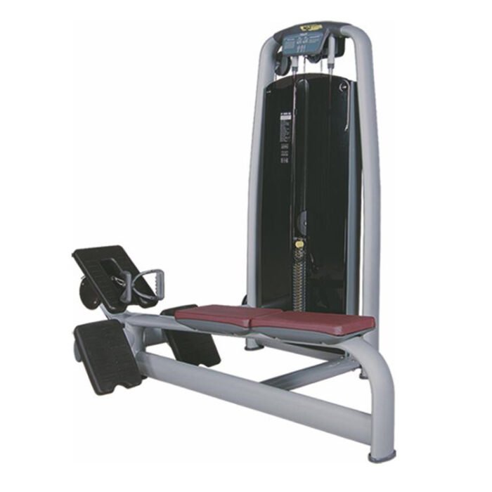A021 Seated Back extension machine