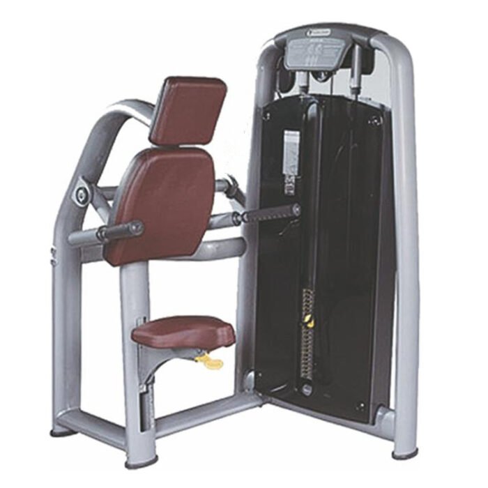 A045 Triceps extension gym machine equipment