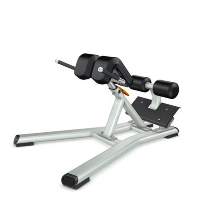 DS033 45 Degree Lower Back Extension Exercise Bench