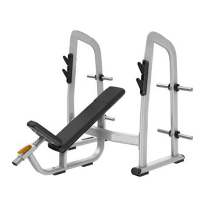 DS035 Olympic Incline Bench Rack Barbell Press Bench
