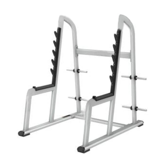 DS037 Squat Rack Power Cage Rack