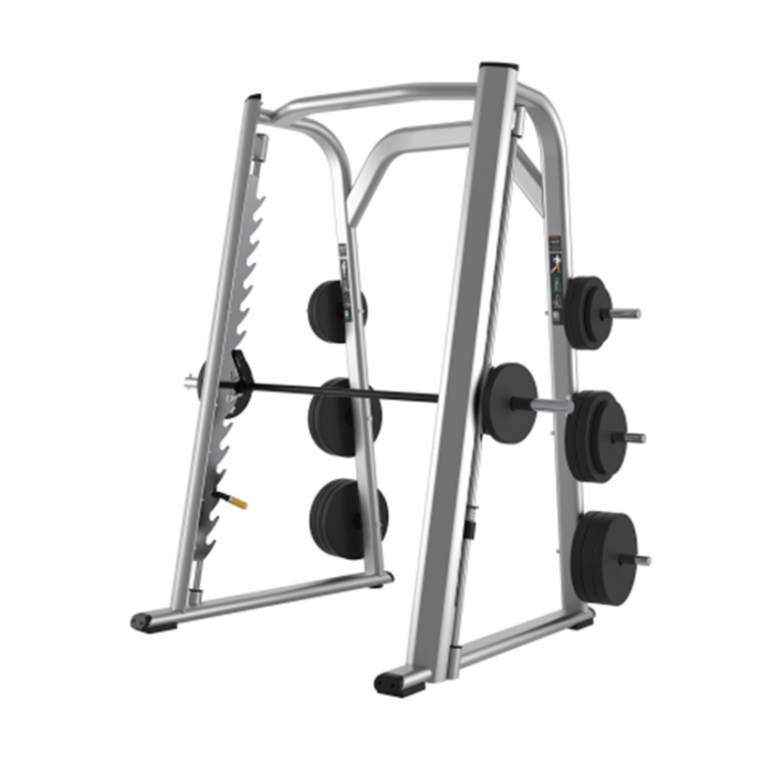 DS038 Smith Machine Gym Power Rack Squat Rack