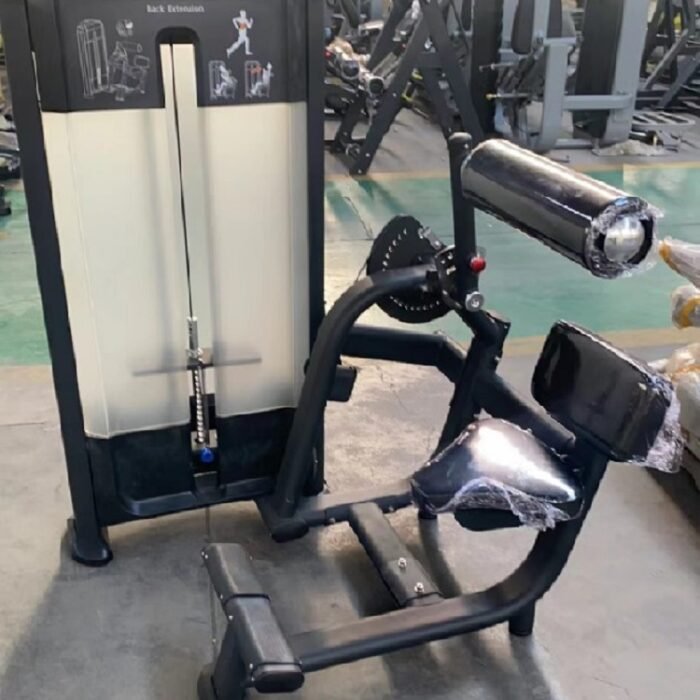 DS052 Abdominal and Back Machine Dual Function Machine - Image 3