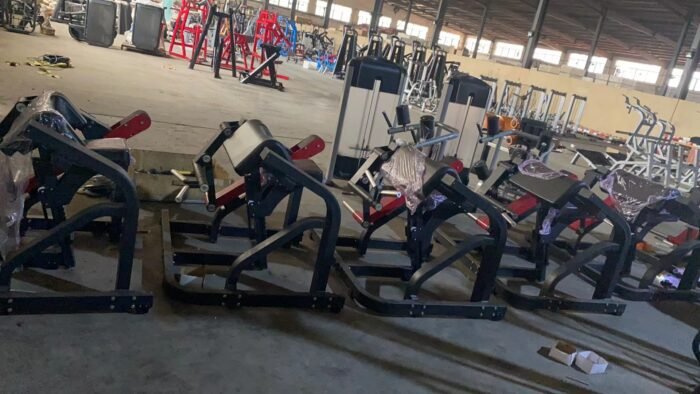China supplier  Strength equipment gym use Z971 Biceps Machine - Image 4