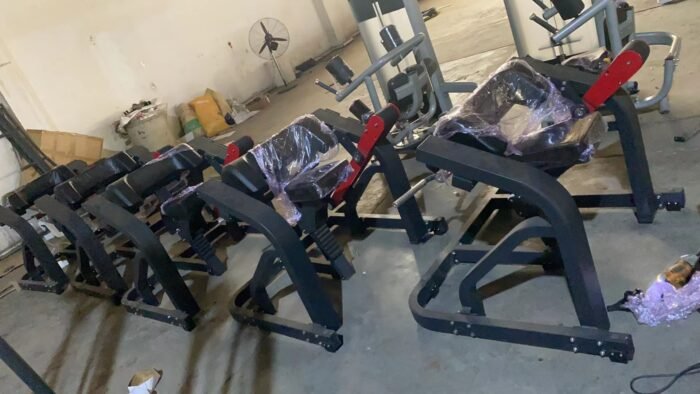 China supplier  Strength equipment gym use Z971 Biceps Machine - Image 3