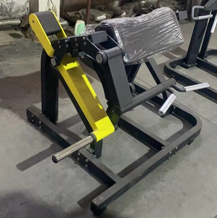 China supplier  Strength equipment gym use Z971 Biceps Machine - Image 5