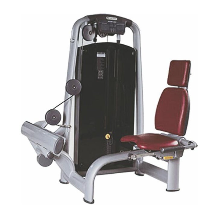 A067 seated calf raise