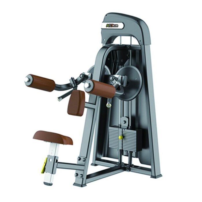 S004 Lateral Raise commercial fitness equipment