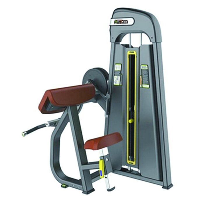 S006 Camber Curl commercial fitness equipment