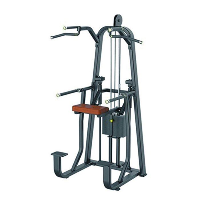 S008 Dip&Chin Assist commercial fitness equipment