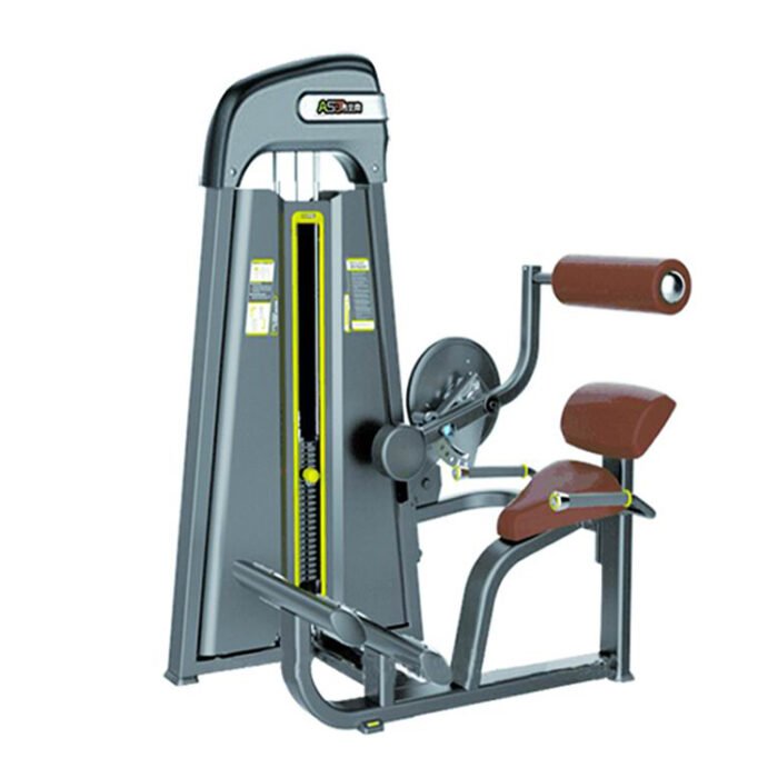 S009 Back Extension commercial fitness equipment