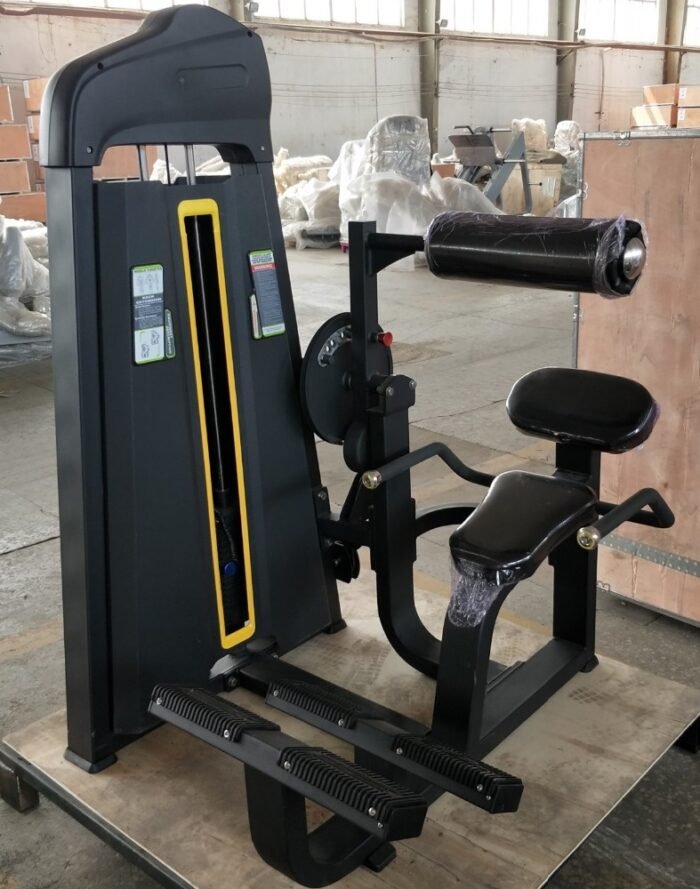S009 Back Extension commercial fitness equipment - Image 2