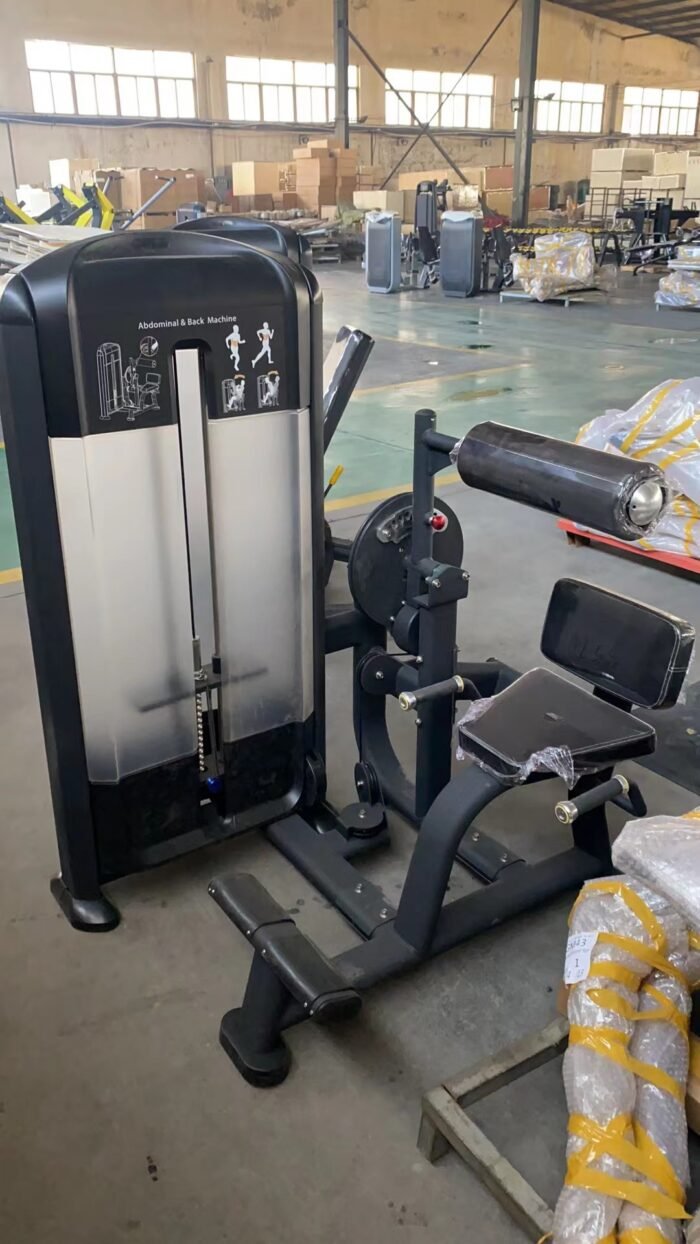 DS018 Commercial Fitness gym Equipment Pin Loaded machine Back Extension - Image 2